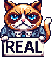 :realcat: