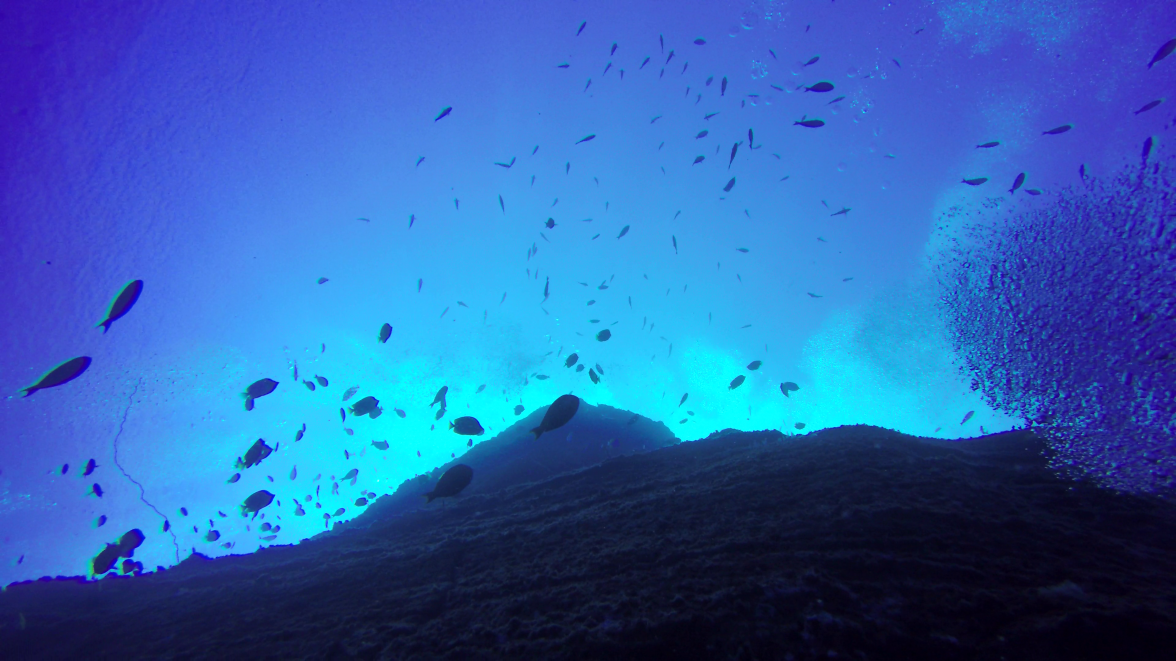 Looking Up from Eighty Feet - Niihau.png