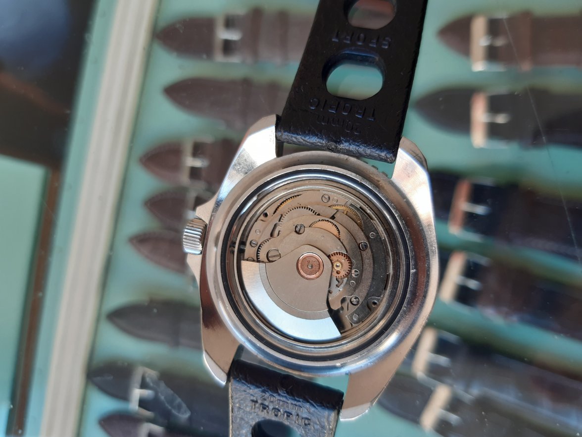 20201107_125401.jpg