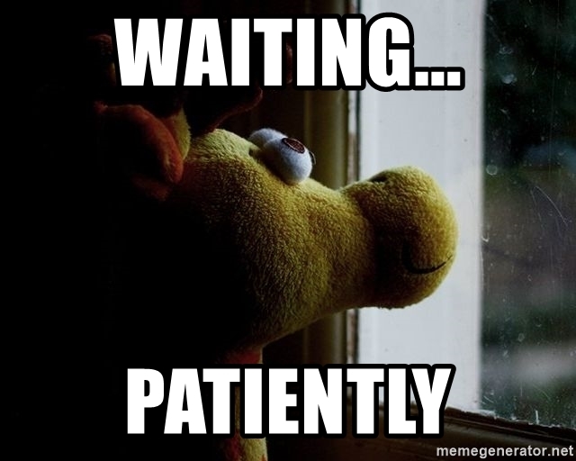 waiting-patiently.jpg
