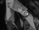 L1003828.jpg