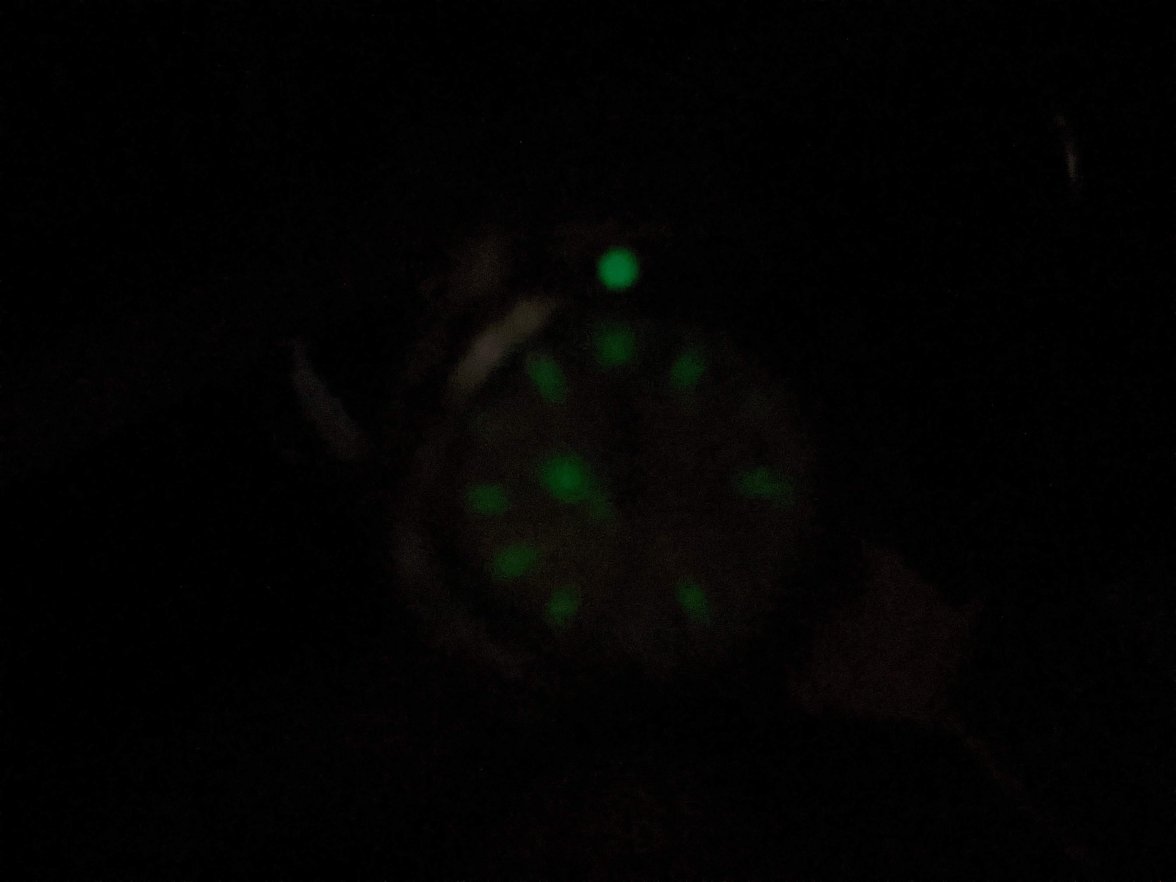 PXL_20220712_204030392.jpg