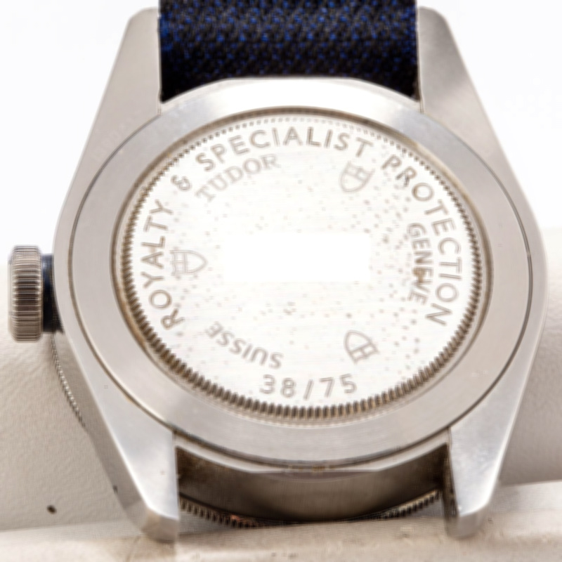 tudor-black-bay-royal-special-protection-team-watch 3.jpg
