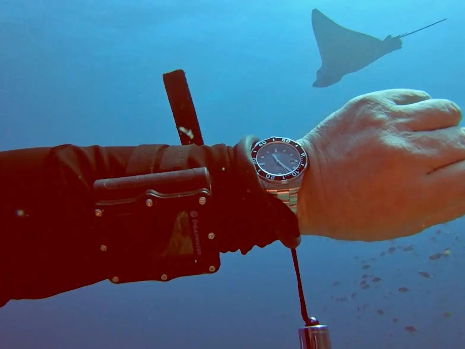 TAG Aquaracer WAN2110 w Ray at Komodo.webp