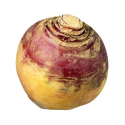 rutabaga.jpg