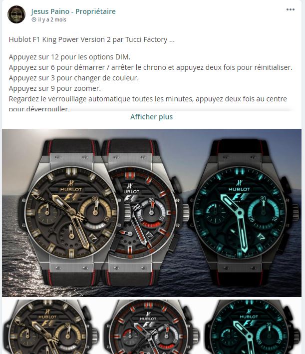 HUBLOT F1.JPG