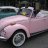 PinkBug